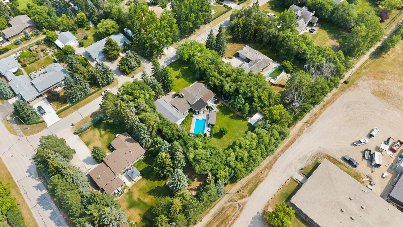 Aerial photograph over the pool toward the treed backyard
